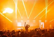 Shows