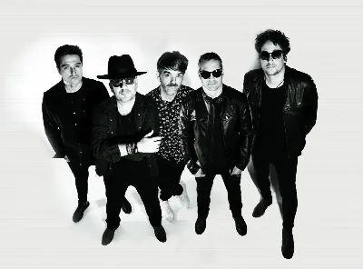 Show Vera Loca - Borracho y Loco