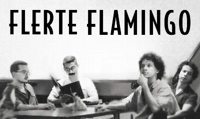 Flerte Flamingo em Curitiba